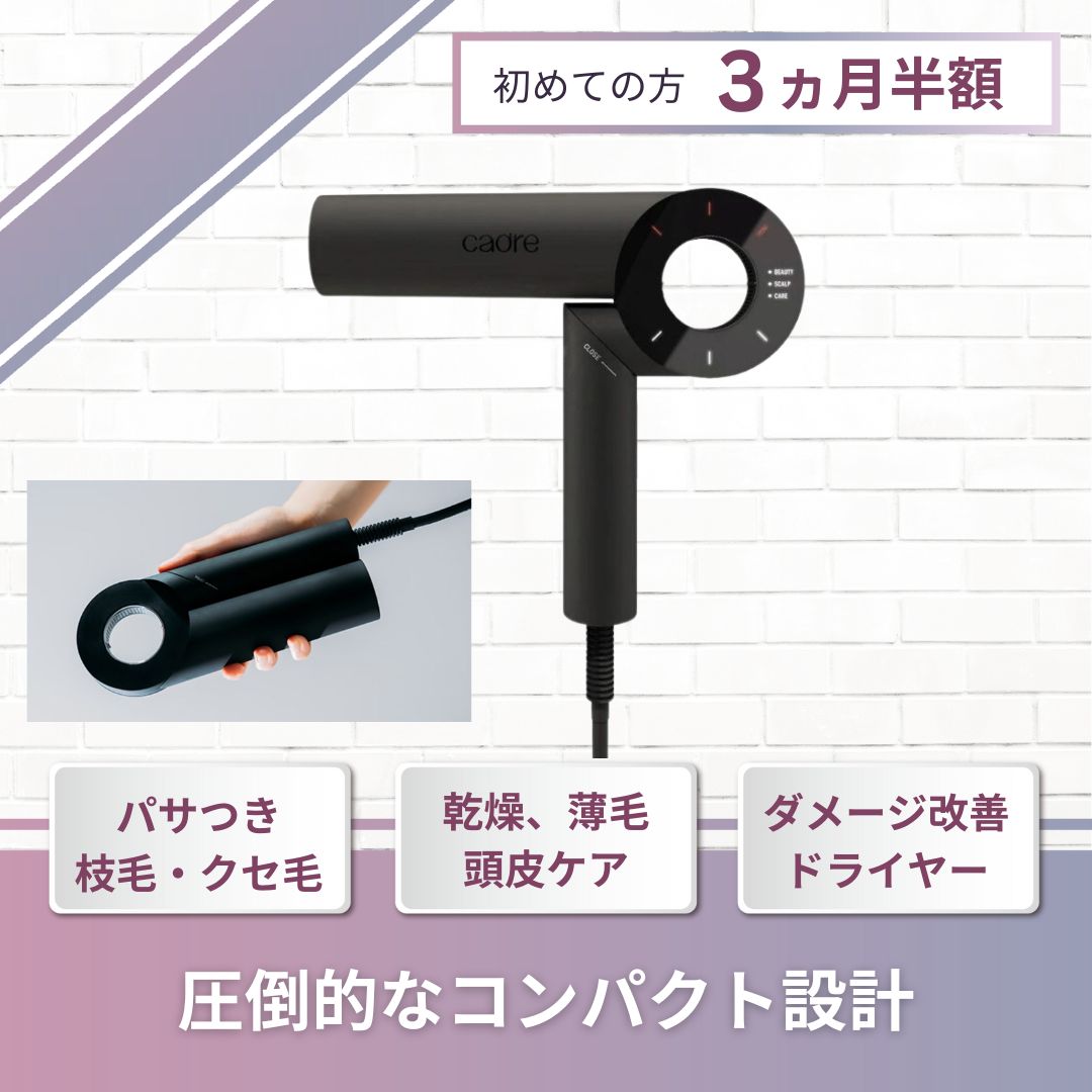 cadre ブラック ヘアドライヤー nontitle