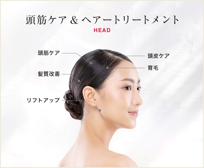 頭筋ケア＆ヘアートリートメント